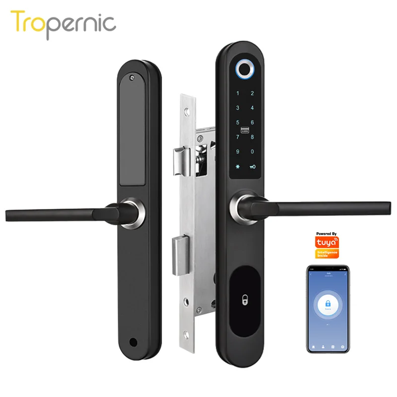 Aluminum Patio Sliding Glass Door Smart Lock Tuya App Handle Keypad